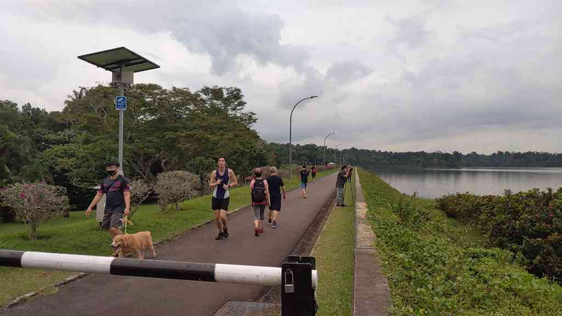 Runners, dog walker and photographers here at Seletar Reservoir