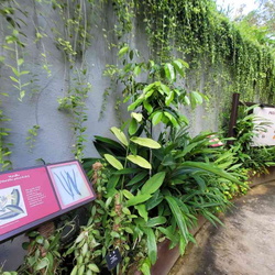 Fort Canning Spice Gallery