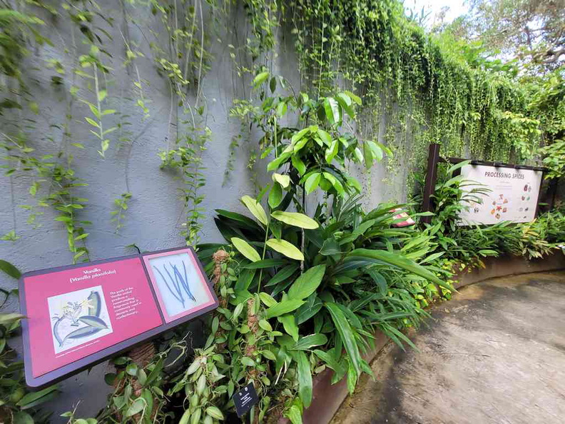 fort-canning-spice-gallery-07