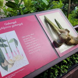 fort-canning-spice-gallery-24