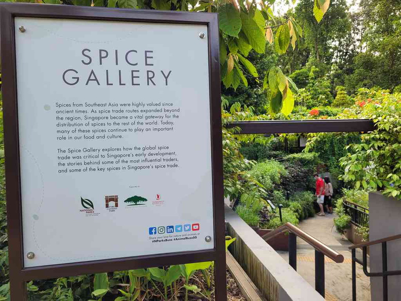 Fort Canning Spice garden and gallery, lets do an explorations