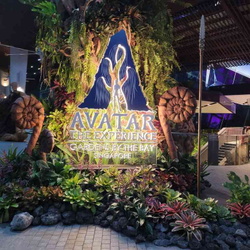 Avatar Experience Cloud Forest