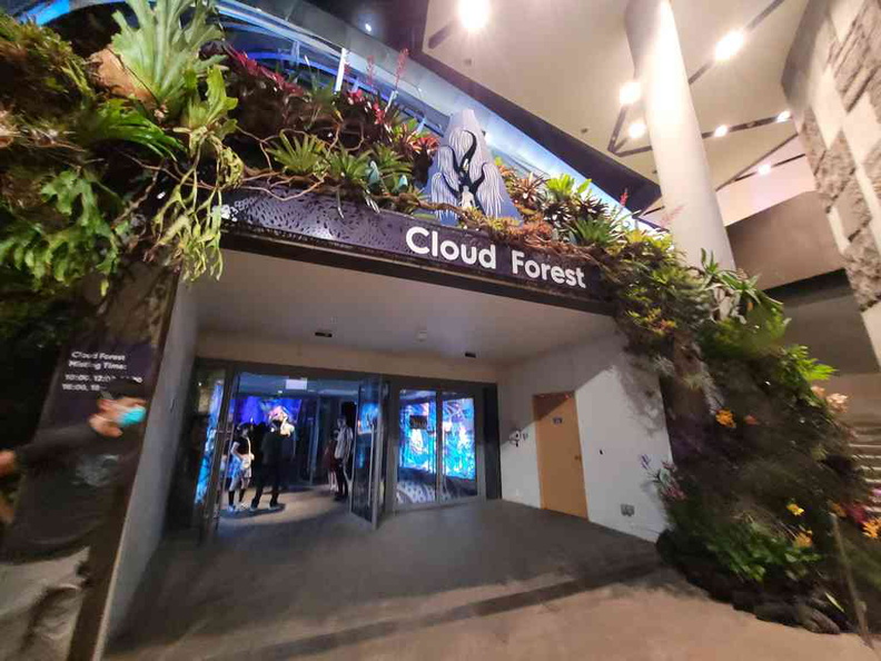 avatar-experience-cloud-forest-02.jpg