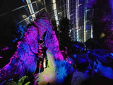 avatar-experience-cloud-forest-05