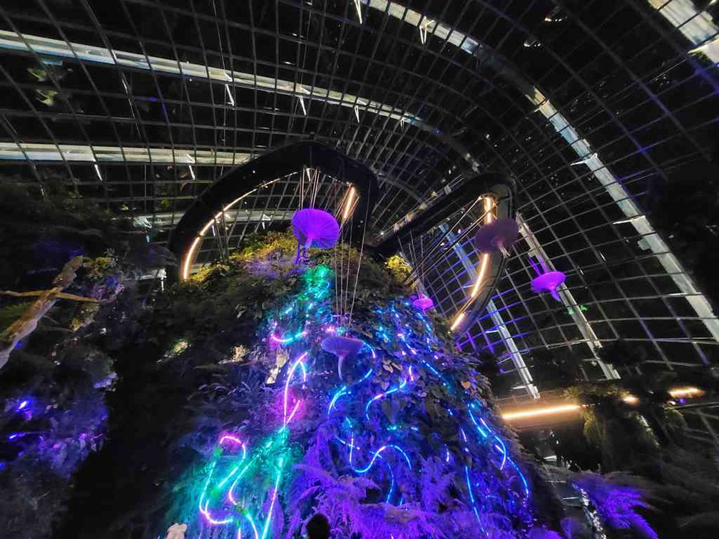 avatar-experience-cloud-forest-16