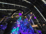 avatar-experience-cloud-forest-16