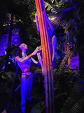 avatar-experience-cloud-forest-17