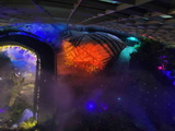 avatar-experience-cloud-forest-19