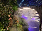 avatar-experience-cloud-forest-20
