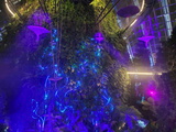 avatar-experience-cloud-forest-32