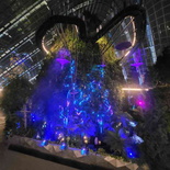 avatar-experience-cloud-forest-33