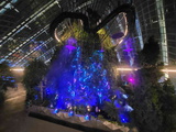 avatar-experience-cloud-forest-33