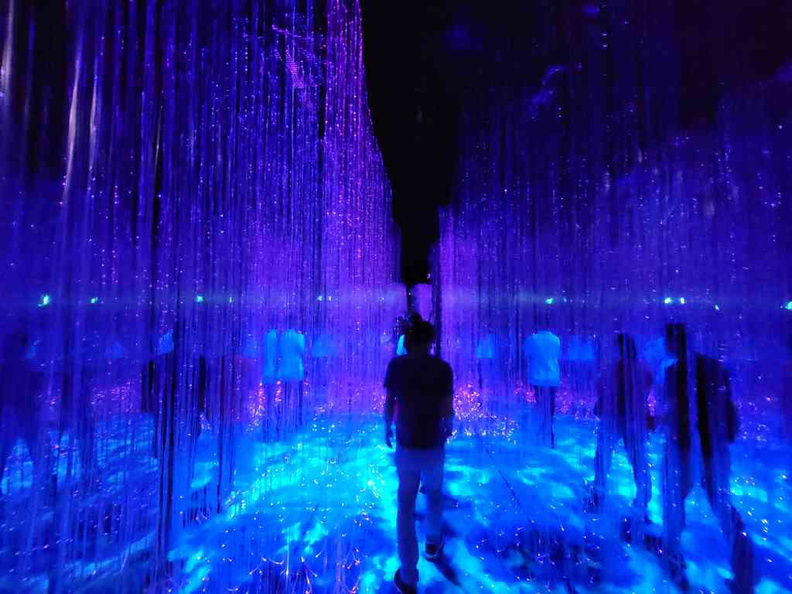 The light field walk-through comprising of strands of LED and fiber lights. It mimics a walk through the Pandora forest at night