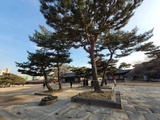 changdeokgung-palace-seoul-25