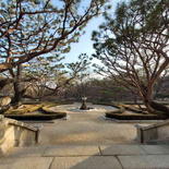 changdeokgung-palace-seoul-37