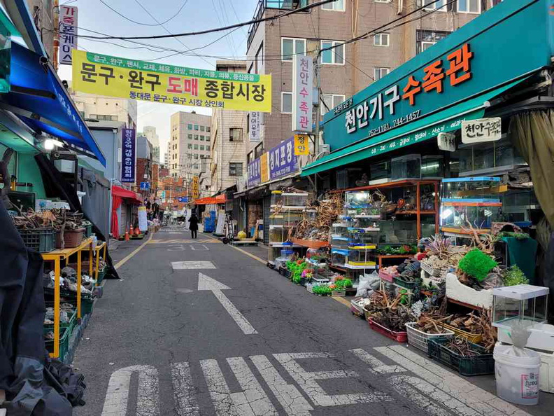 Changsindong street is one for cheap toys and stationery, located near Seoul’s Dongdaemun district