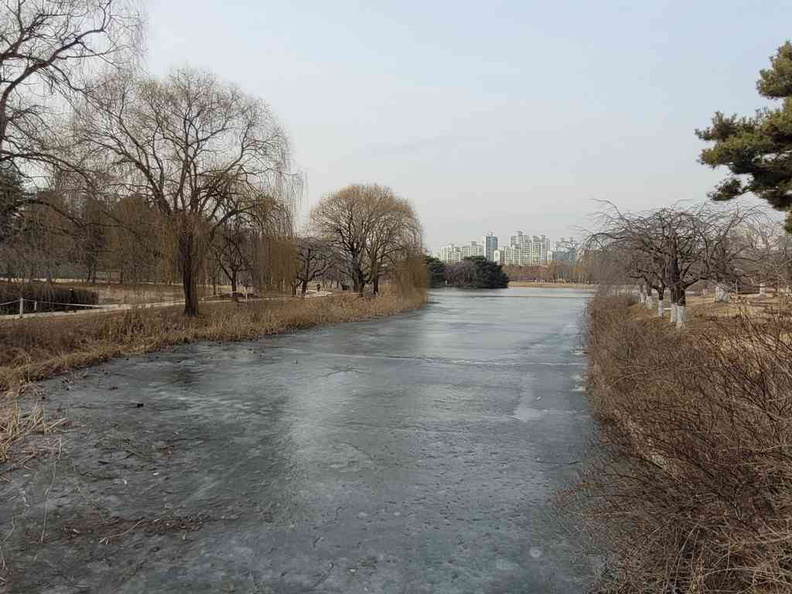Ilsan lake park frozen