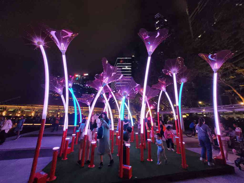 i-Lights 2023 Trumpet Flowers with music score from Sydney’s finest jazz musicians