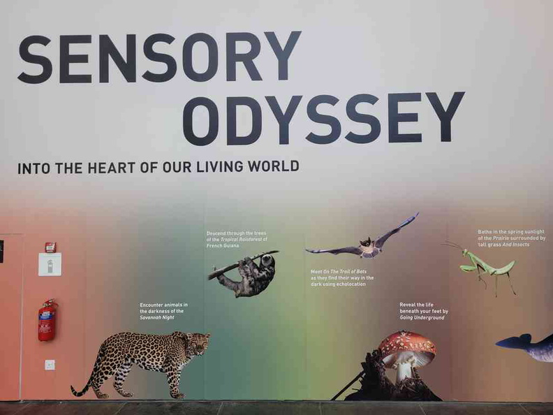 sensory-odyssey-art-science-museum-26.jpg