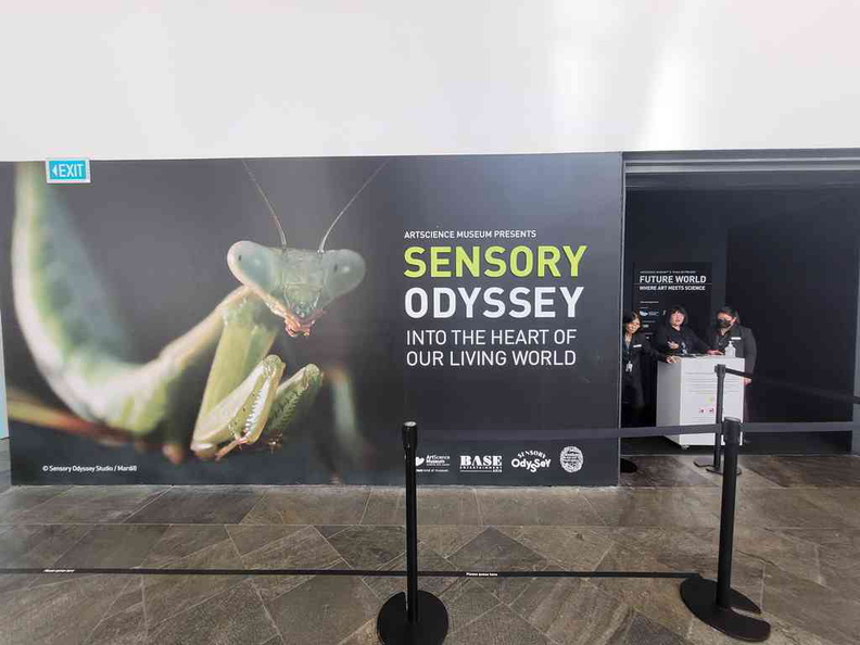 Welcome to the Sensory Odyssey galleries.