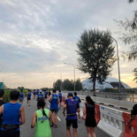 sg-marathon-scm-race-2023-report-43