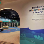 new-bugis-central-library-21