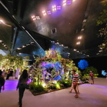 singapore-garden-festival-2024-07