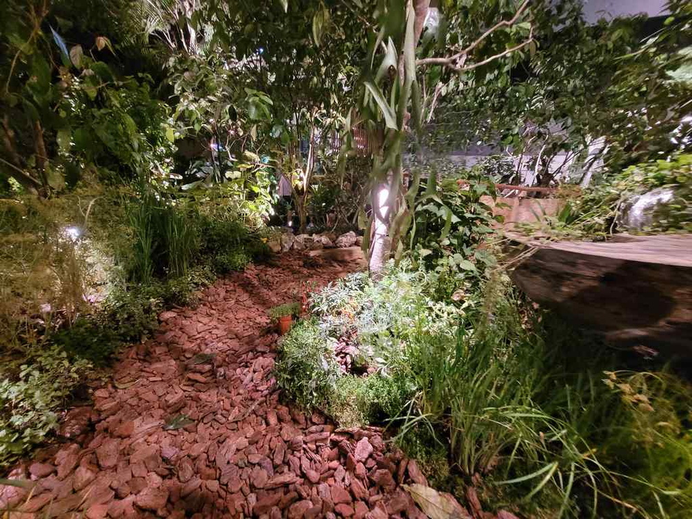 A forest walk with path laid with dried leaves.