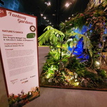 singapore-garden-festival-2024-12