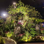 singapore-garden-festival-2024-66