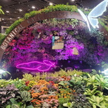 singapore-garden-festival-2024-78