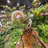 singapore-garden-festival-2024-99