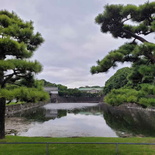 tokyo-imperial-palace-01