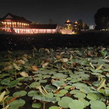 lights-by-lake-jurong-lake-gardens-2024-40