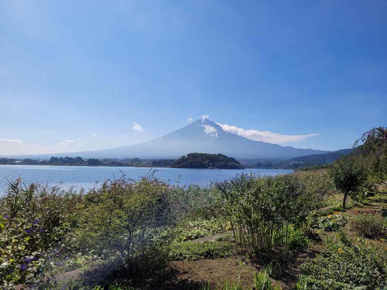 mt-fuji-oishi-park-06