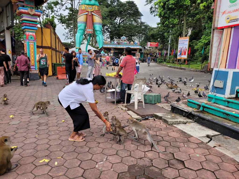 batu-caves-kl-selangor-malaysia-32