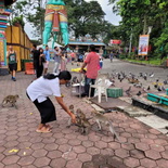 batu-caves-kl-selangor-malaysia-32