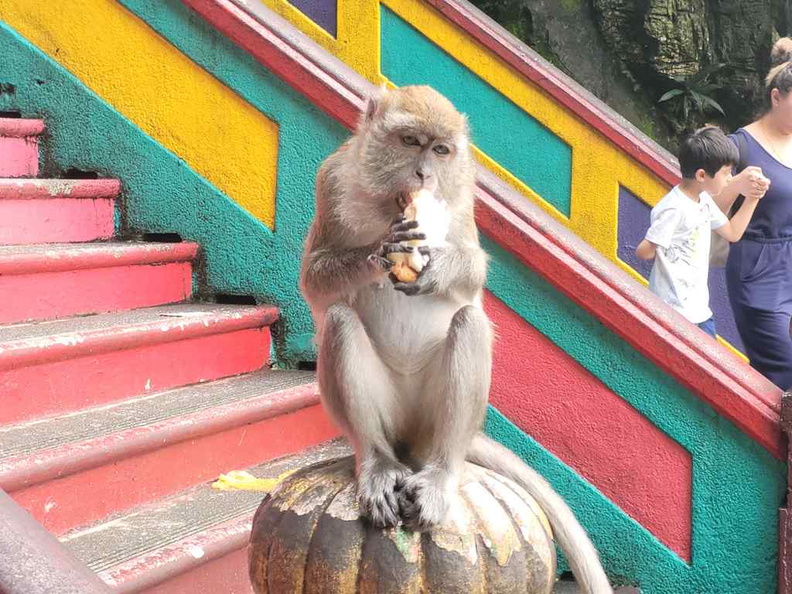 batu-caves-kl-selangor-malaysia-07