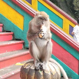 batu-caves-kl-selangor-malaysia-07