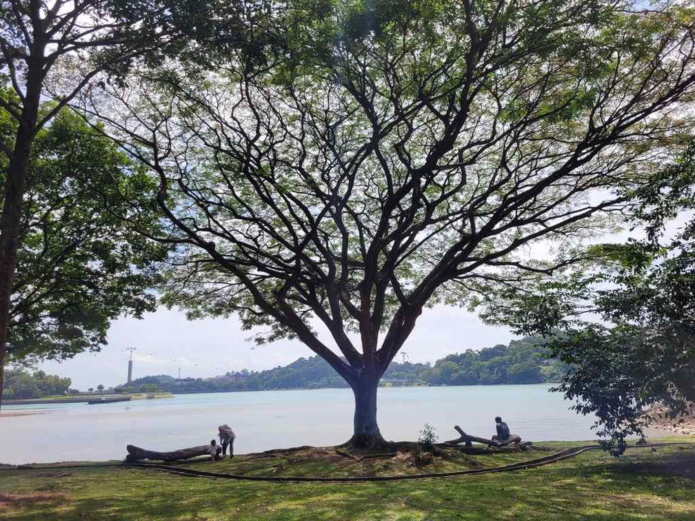 Labrador park 