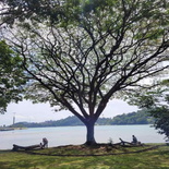 keppel-coastal-trail-labrador-park-46