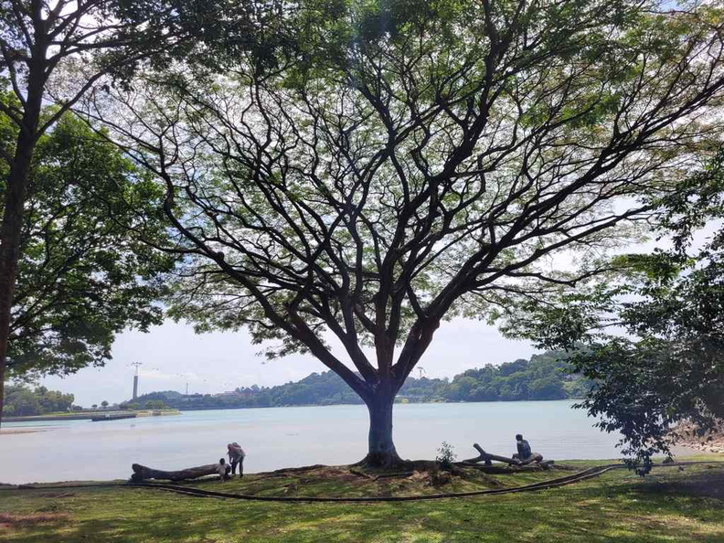 keppel-coastal-trail-labrador-park-46