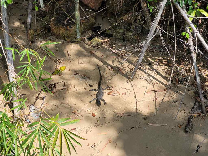 keppel-coastal-trail-labrador-park-06