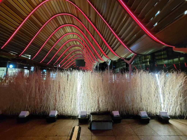ilight-singapore-2025-03