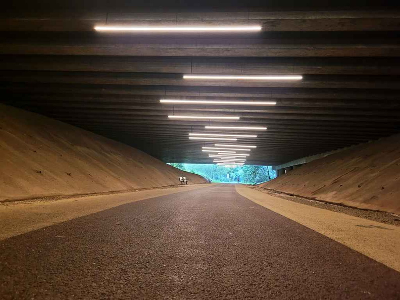 ayer-rajah-rail-corridor-run-48