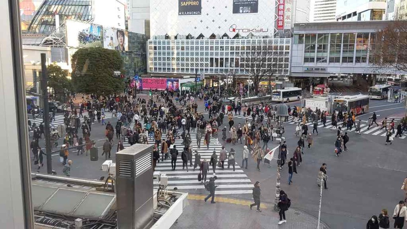 Shibuya iconic scramble crossing from Tustaya Starbucks