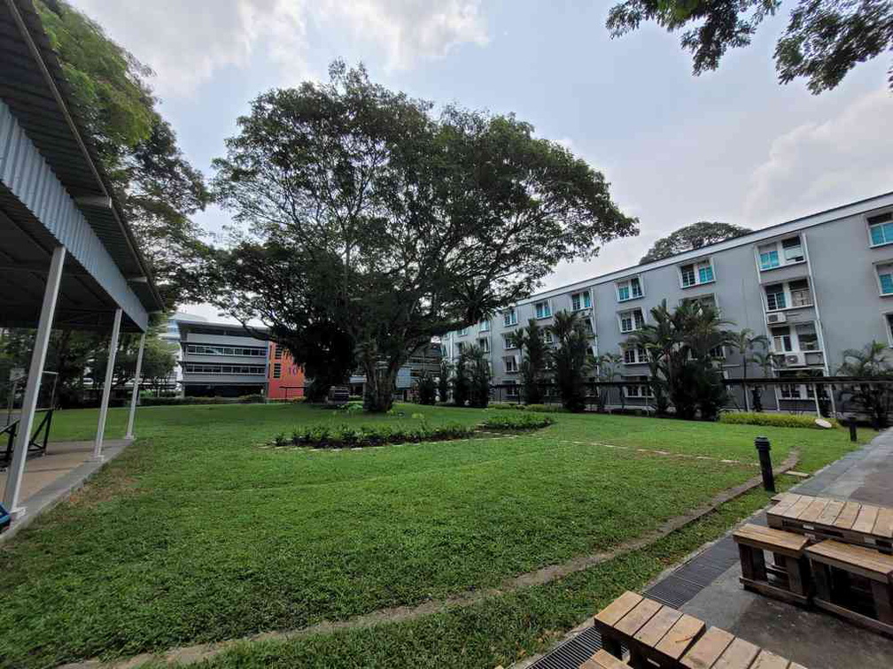 The vast LTA campus grounds built from the old KK hospital grounds. 