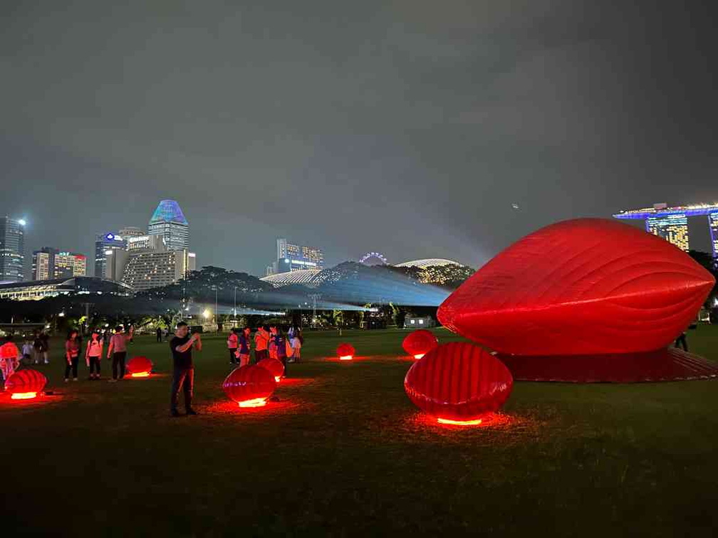 Giant Saga seeds with the Marina Bay in the background.