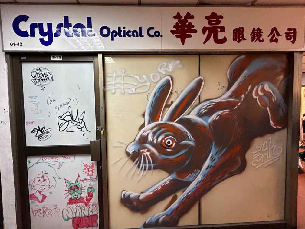 Graffiti on disused shopfronts.