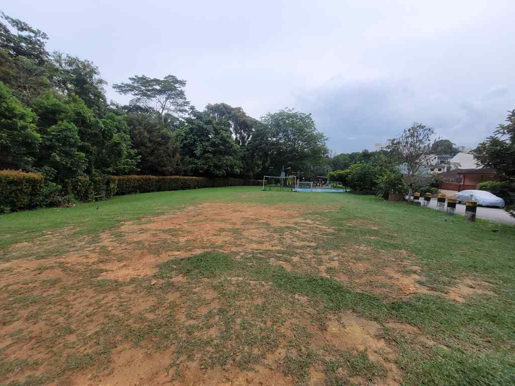 Fuyong park open field